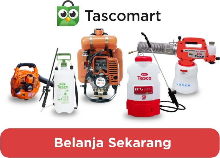 belanja sekarang